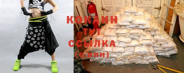ешки Арсеньев