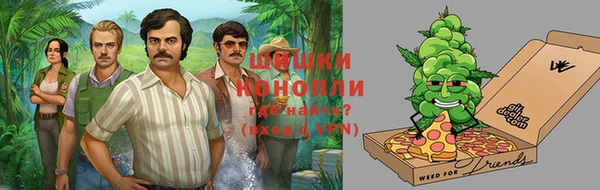 ешки Арсеньев